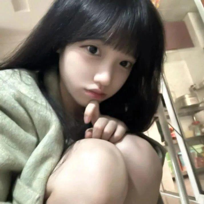 特洛伊艾迪